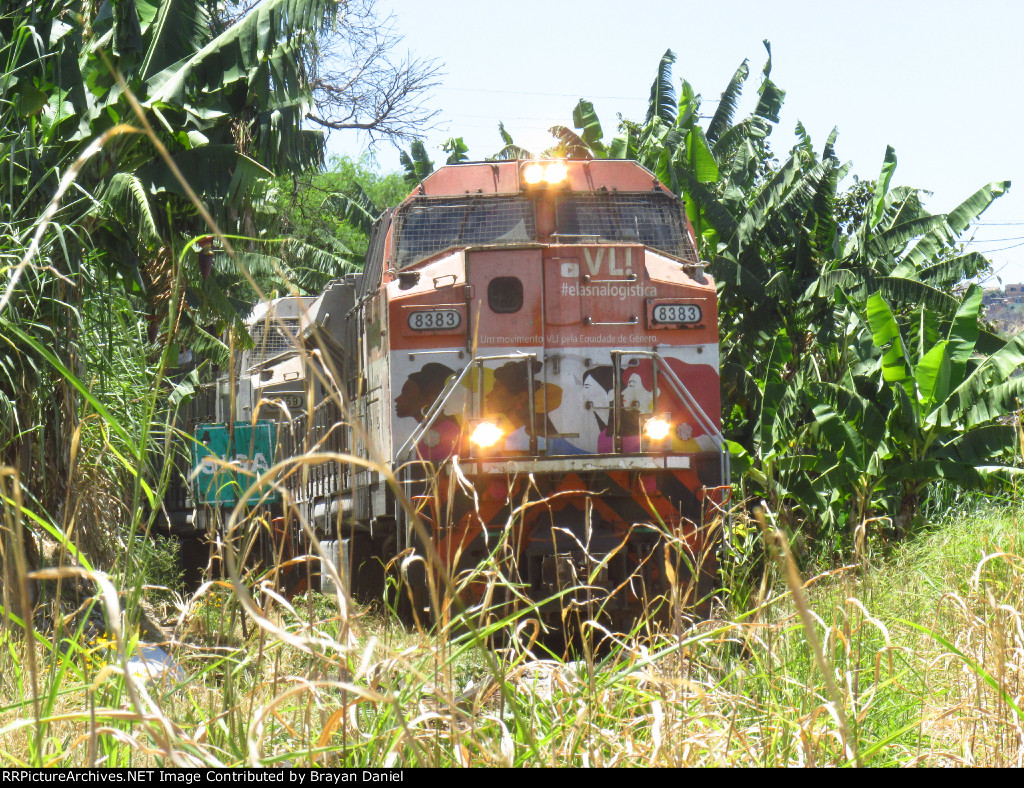 VLI 8383